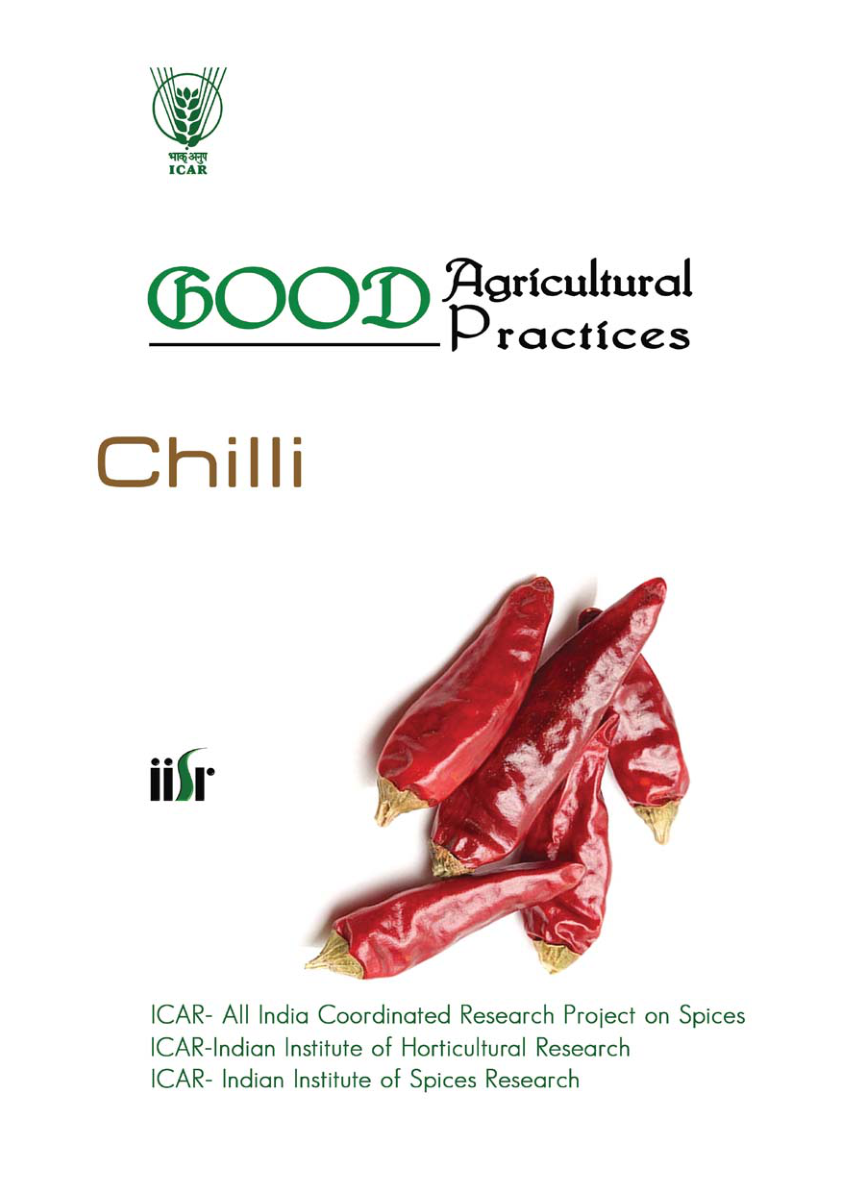 Chilli cover