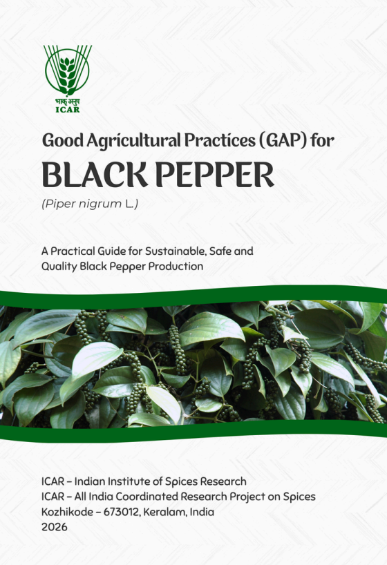 Black Pepper cover
