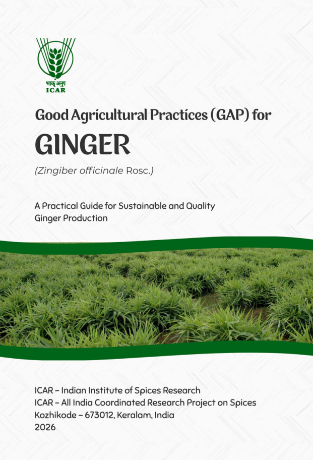 Ginger cover