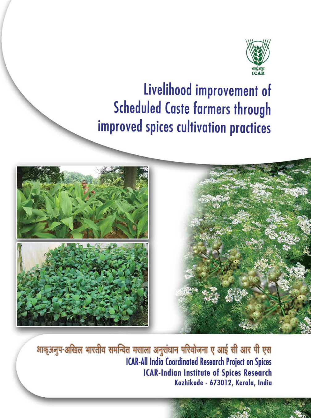 SCSP Publication Cover